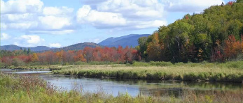 saranac lake fish and game club